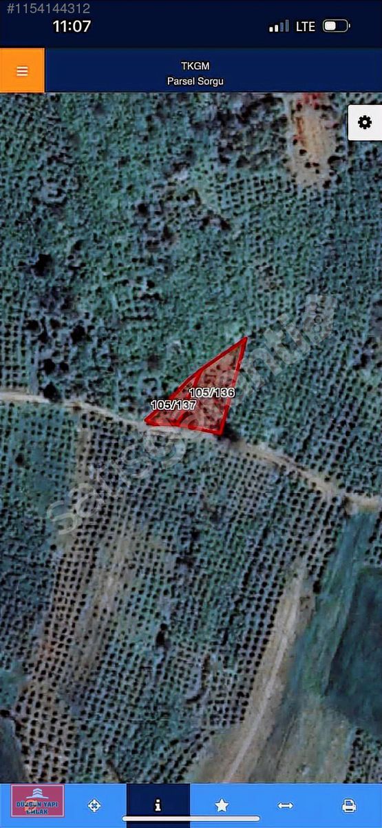 Sarnıclarda 724 m2 yollu yetişkin fındıklık