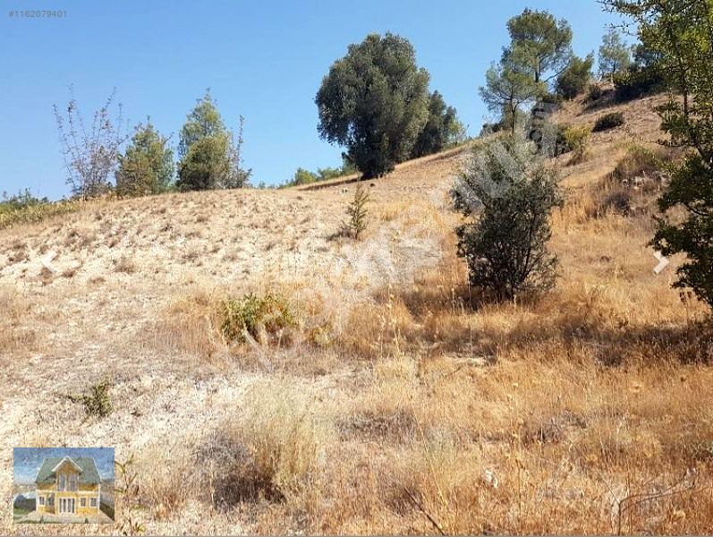 YOLLU 4.850 m2 TARLA KREDİ KARTINA 12 AY TAKSİT İMKANI