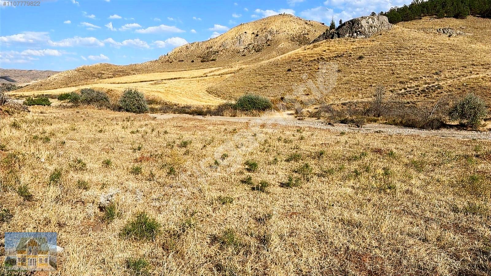 KÖY İÇİNDE 2040 m2 TARLA