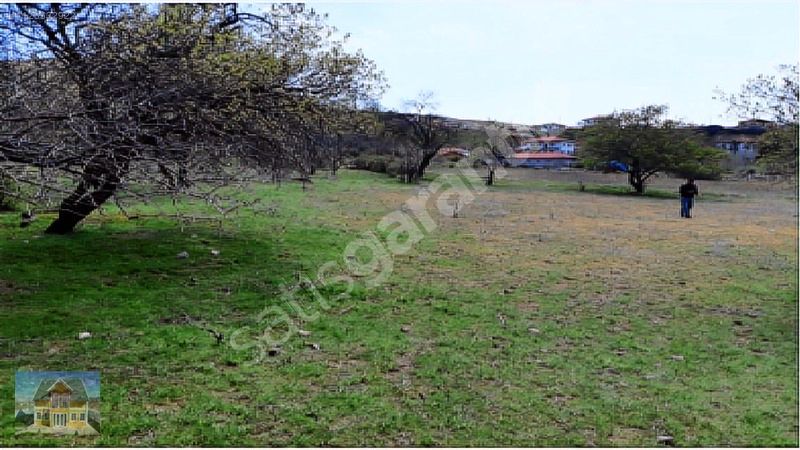 KÖYE 100 METRE 891 m2 TARLA
