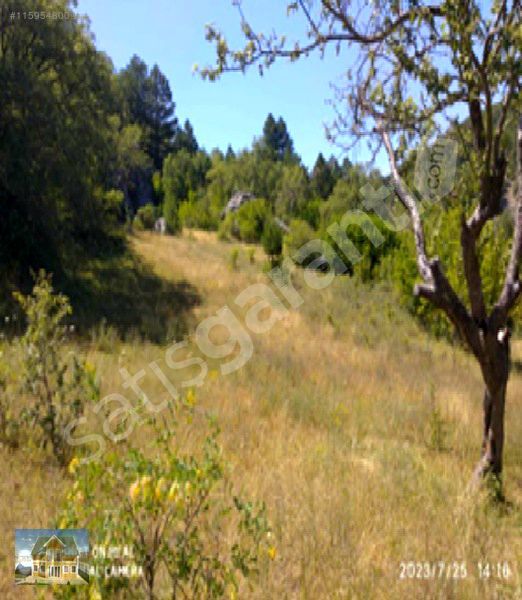 1.176 m2 TARLA TÜM KREDİ KARTLARINA 12 AY TAKSİT İMKANI