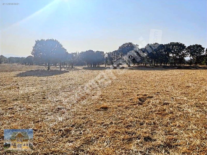 1261 m2 İLÇEYE 1.5 KM MESAFEDE TÜM KREDİ KARLARINA TAKSİT