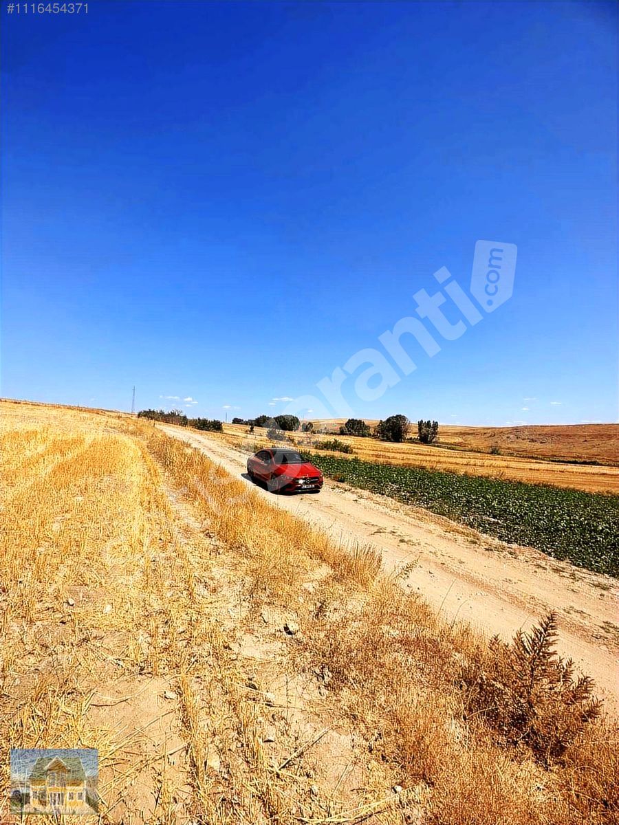 YOLLU 3900 m2 TARLA TÜM KREDİ KARTLARINA TAKSİT İMKANI