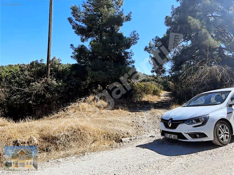 3 YOLA CEPHELİ 1555 m2 TARLA