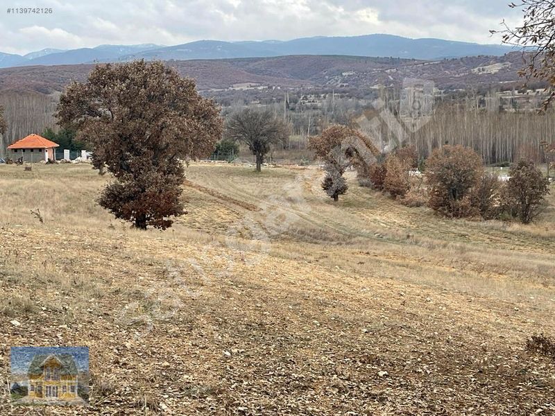 KÖYÜN DİBİNDE YOLLU KUPON TARLA