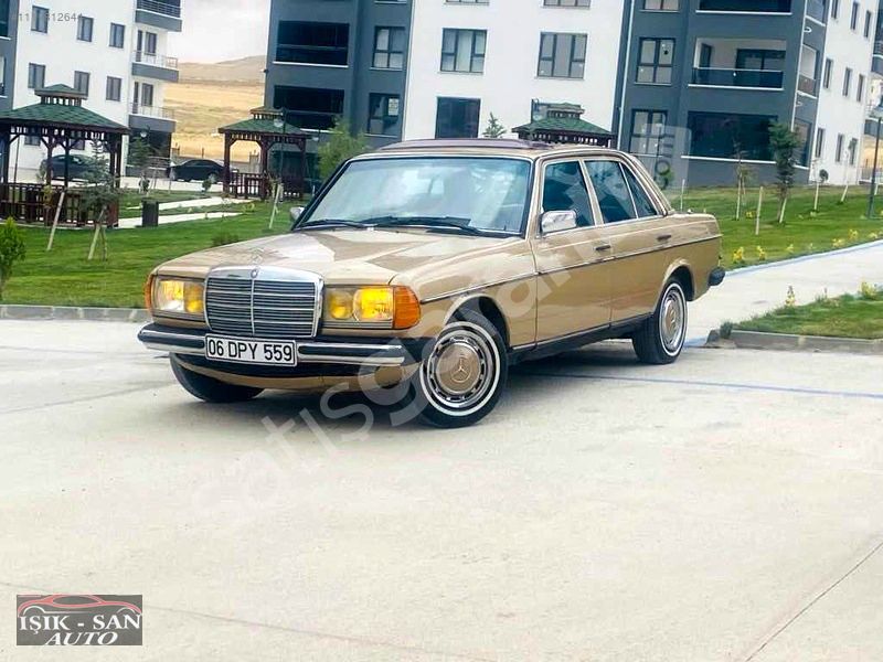 HASTASINA OTOMATİK SUNROOFLU RESTORASYONLU 230E CLASSIC