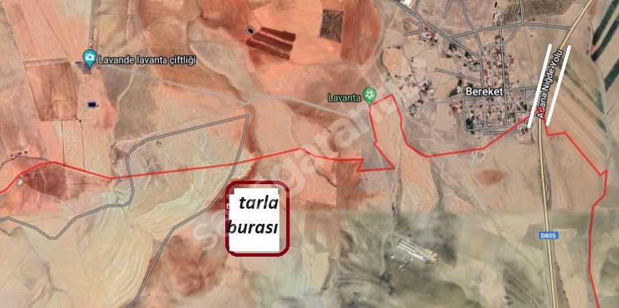 ULUKIŞLA  Kolsuzda  36.5 dönüm satlık tarla 