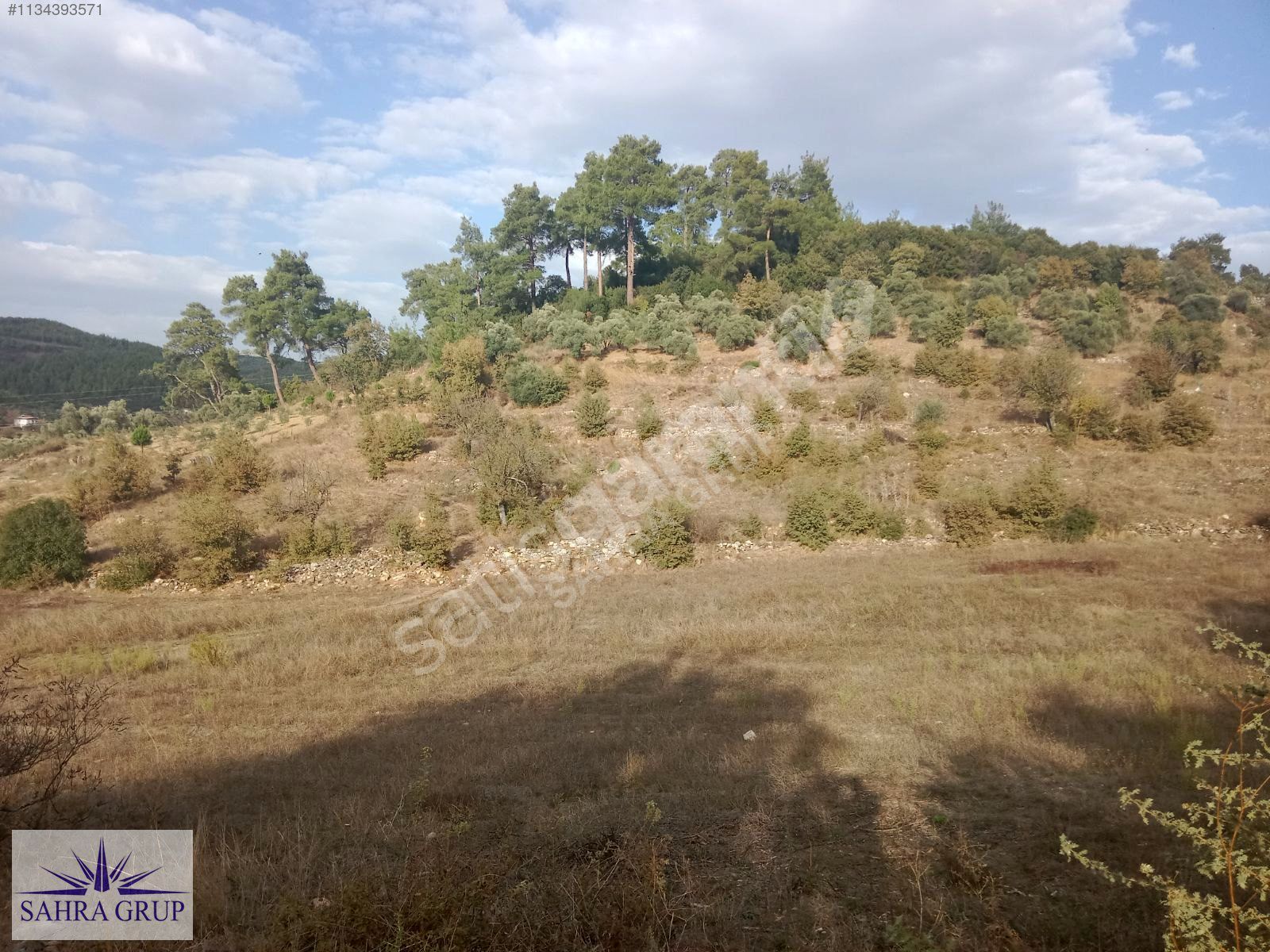ŞOK ŞOK ŞOK !!! YATAĞAN CAZKIRLAR'DA KÖY İÇİNDE 2800 m² TARLA