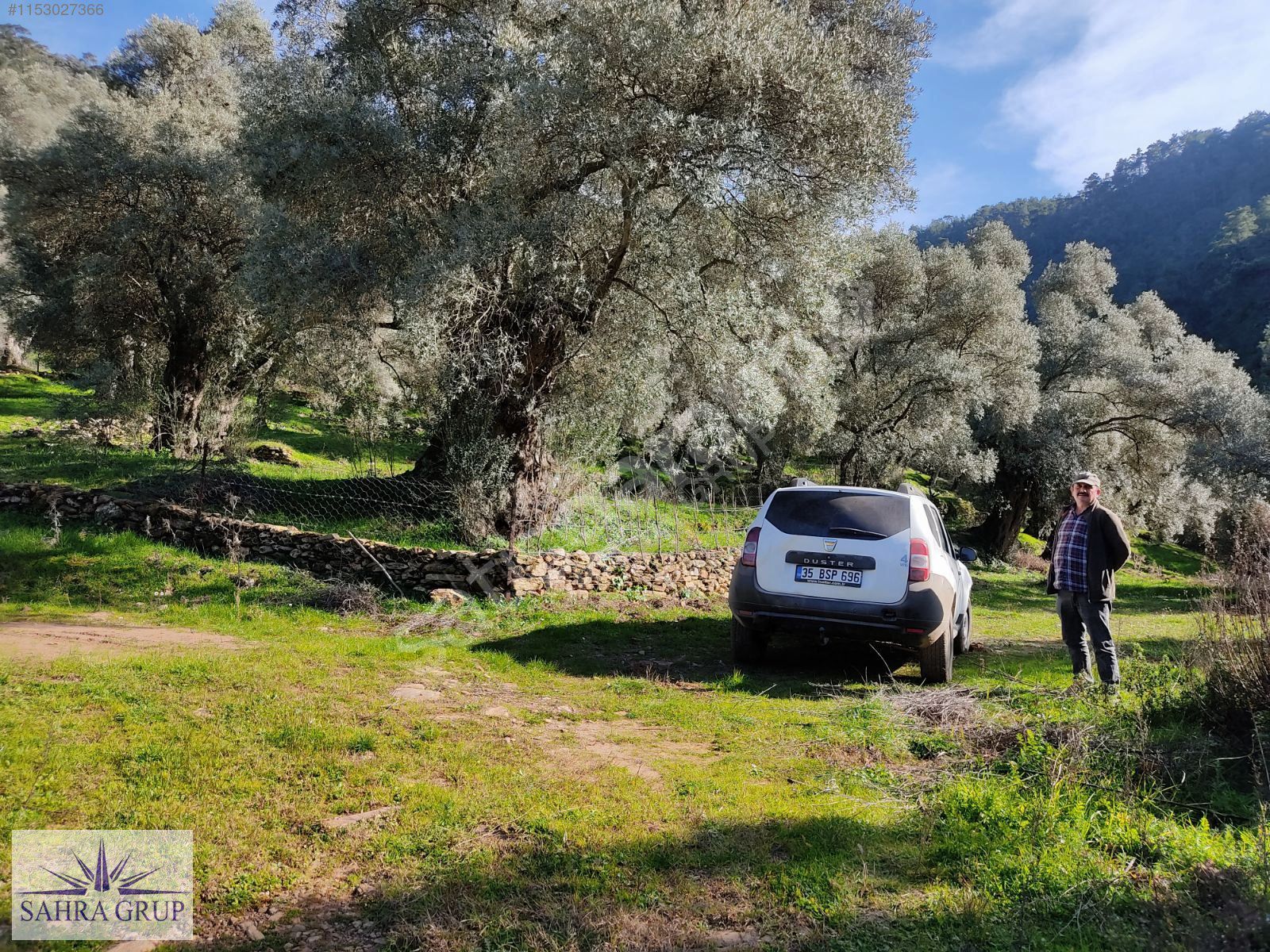 MİLAS KANDAK'DA BARAJ MANZARALI MUHTEŞEM KONUMDA 850m² ZEYTİNLİK
