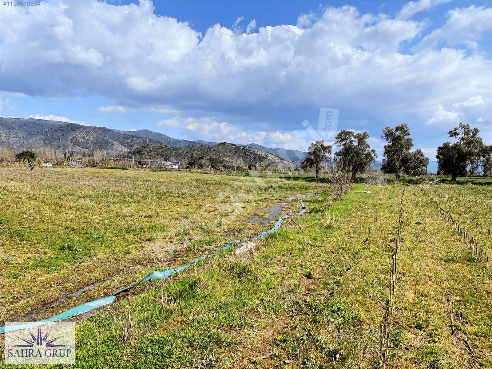 MİLAS OVASINDA MUHTEŞEM KONUM'DA 6.000 m² TARLA !!!