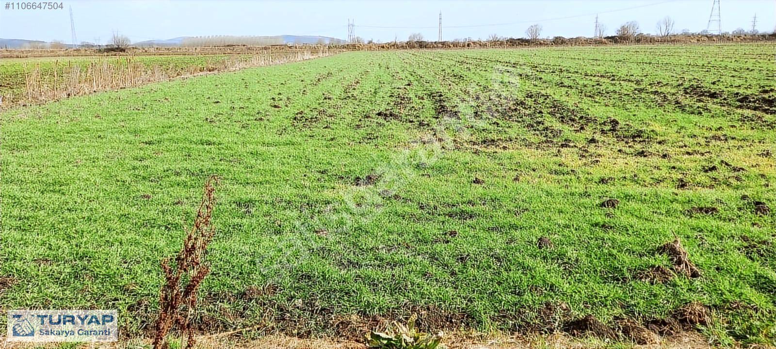 SAKARYA SERDİVAN YAZLIKTA YATIRIMLIK 80 DÖNÜM ARSA
