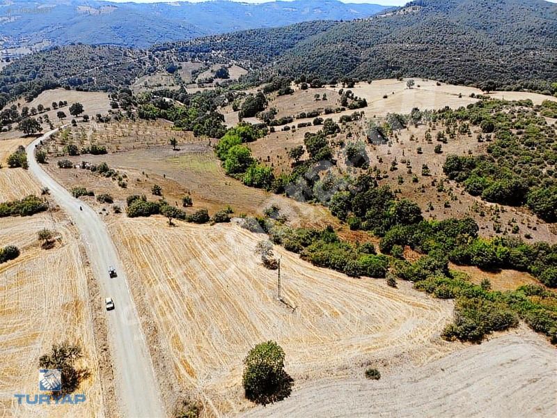 ÇANAKKALE BİGA GÜRÇEŞME'DE 4.450 M2 YOL ÜZERİNDE SATILIK TARLA