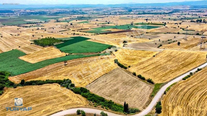 ÇANAKKALE BİGA ESKİBALIKLIDA 7.200 M2 ASFALTA CEPHE SATILK TARLA