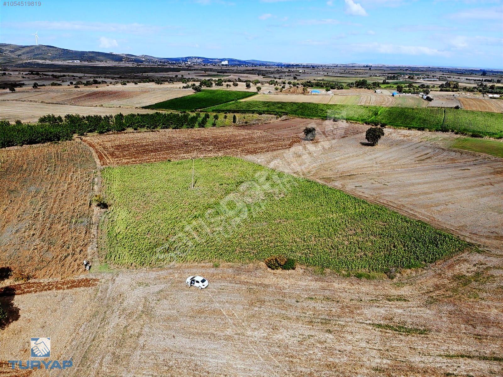 ÇANAKKALE BİGA KOCAGÜR KÖYÜNDE 6.700M2 SATILIK TARLA