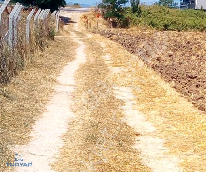 ÇANAKKALE BİGA KEPEKLİ'DE 10.153 M2 250 M2 HİSSESİ SATILIK BAHÇE