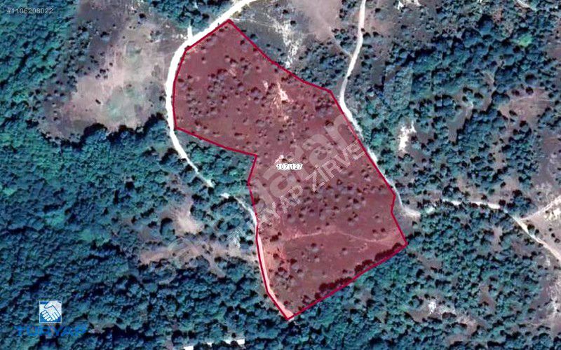 ÇANAKKALE BİGA ELMALI'DA 16.983 M2 EKOTURİZME UYGUN TARLA