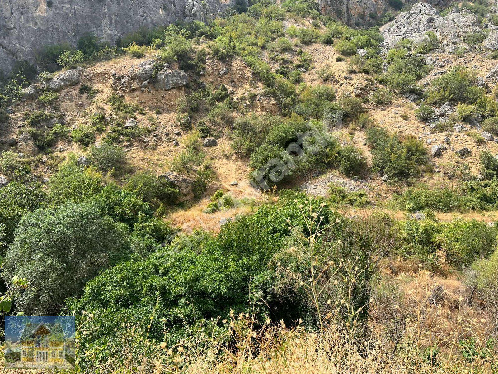 YOLLU 1600 m2 TARLA