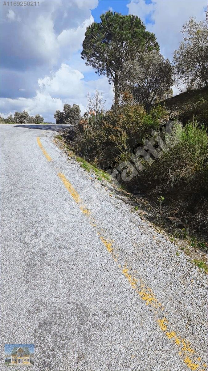 YOLLU 1297 m2 TARLA TÜM KREDİ KARTLARINA 12 AY TAKSİT İMKANI