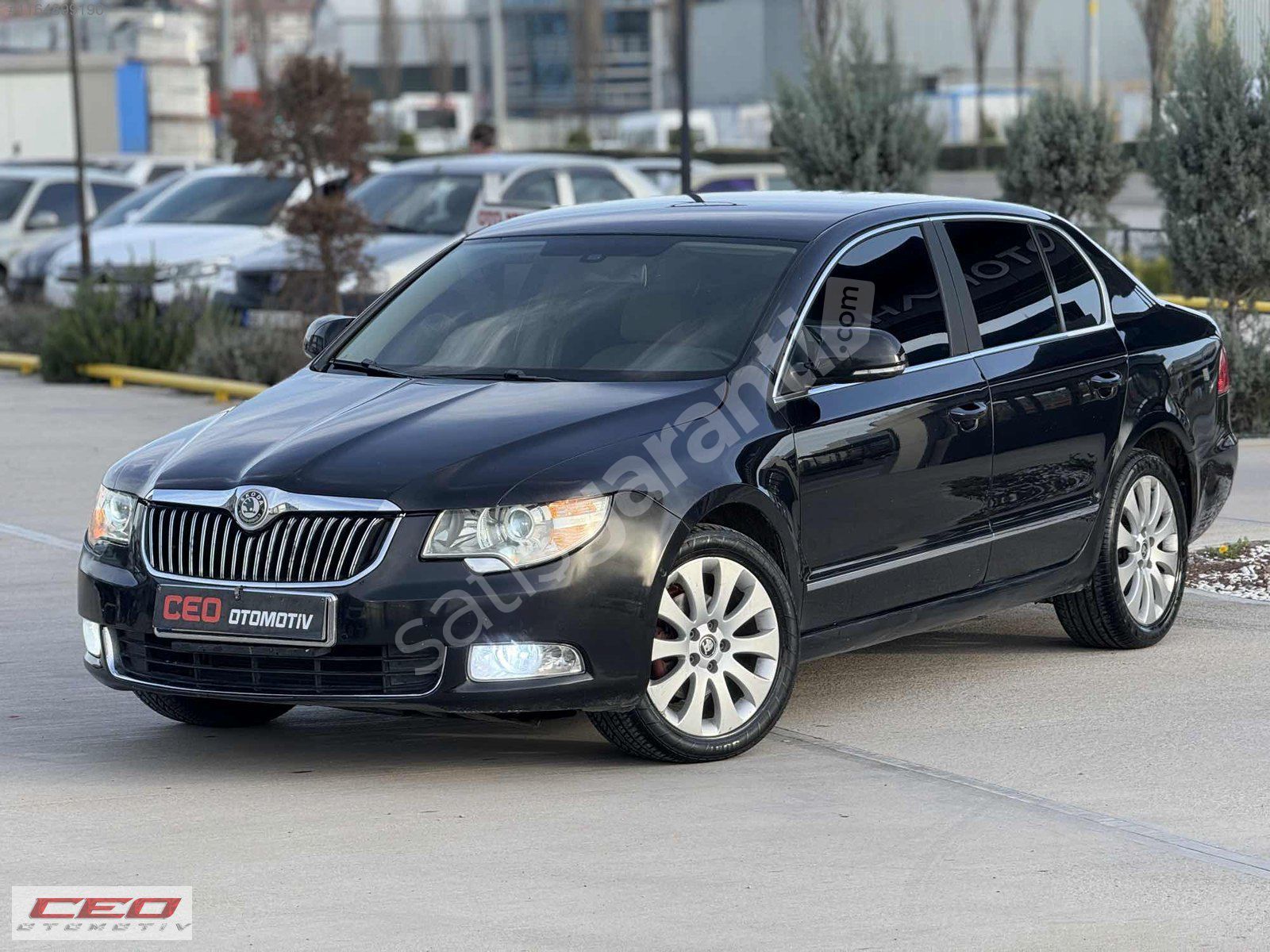 CEO dan fiyat dibin dibi oldu
