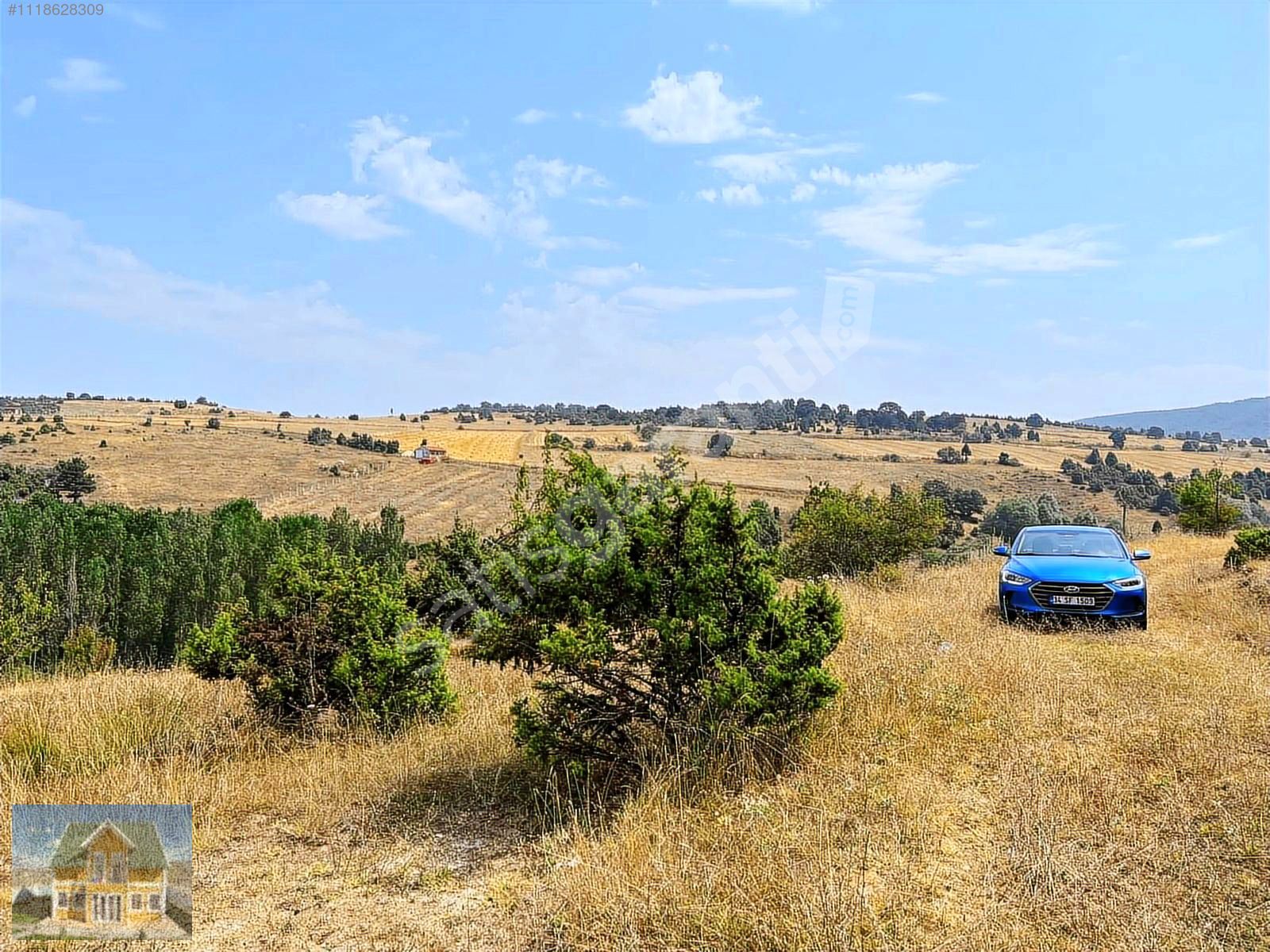 3198 m2 YOLLU TARLA