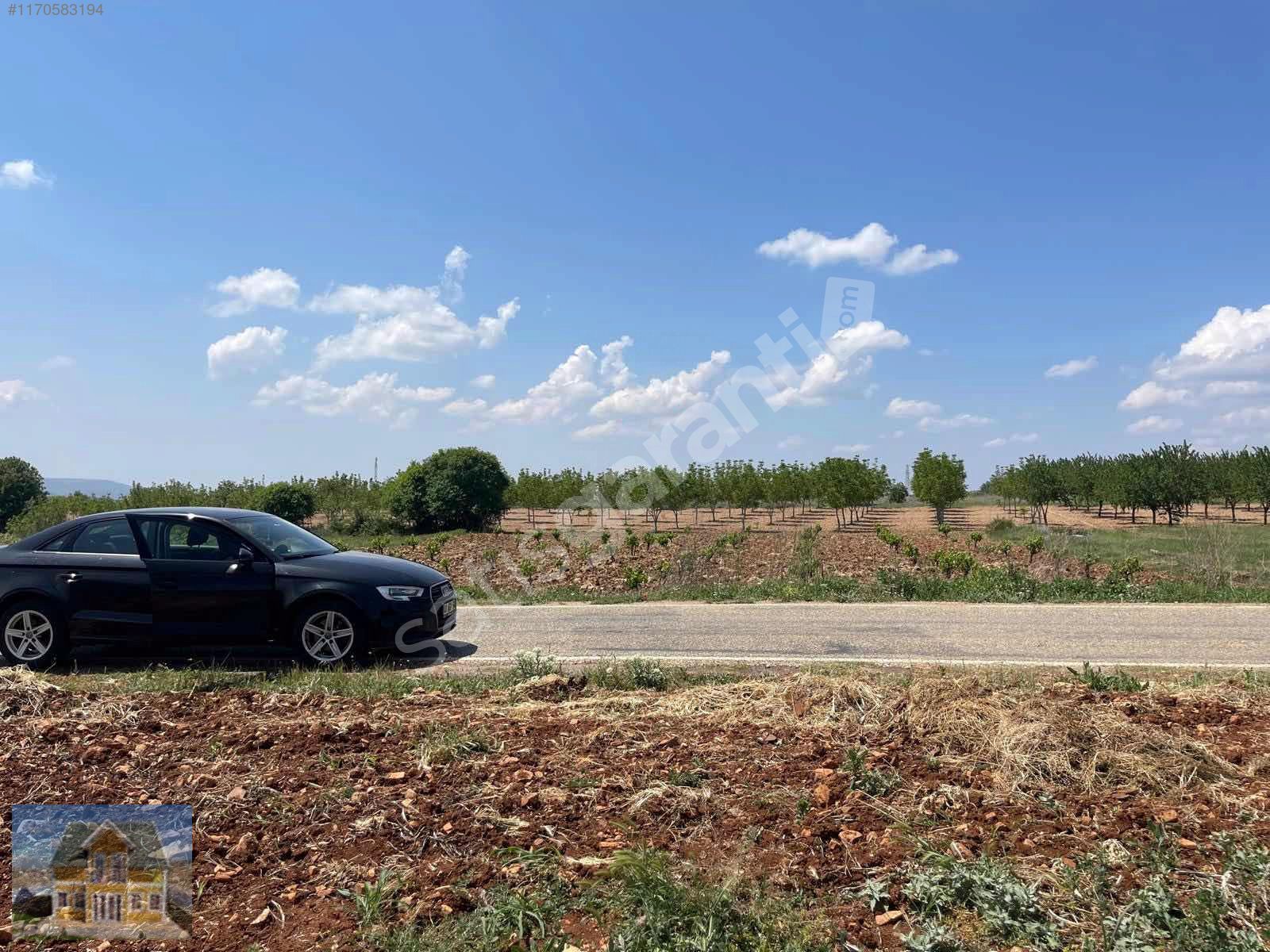 ASVALT YOLA CEPHE BAKIMLI ÜZÜM BAĞI