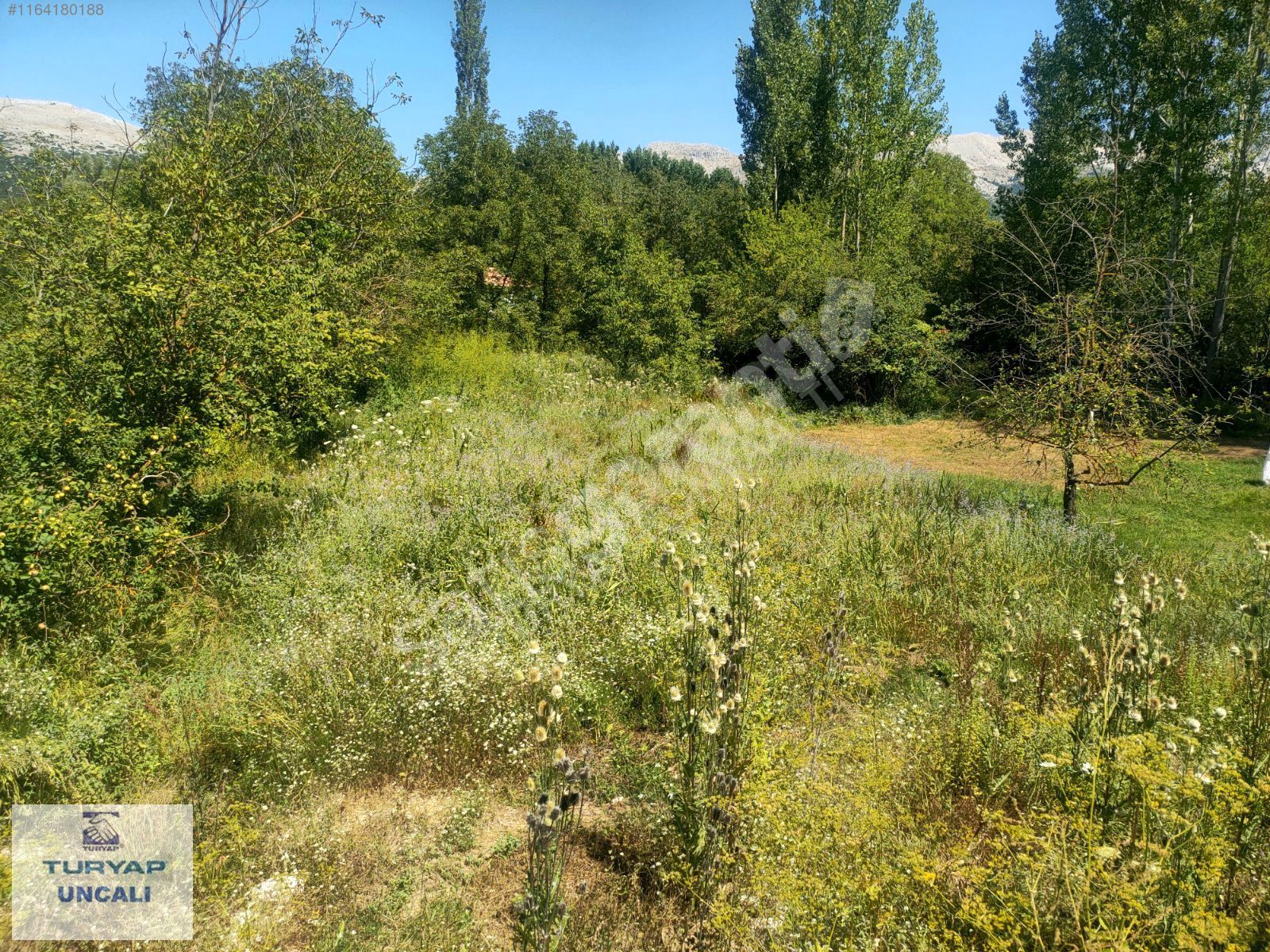 AĞLASUN DA KÖY İÇİ TARLA