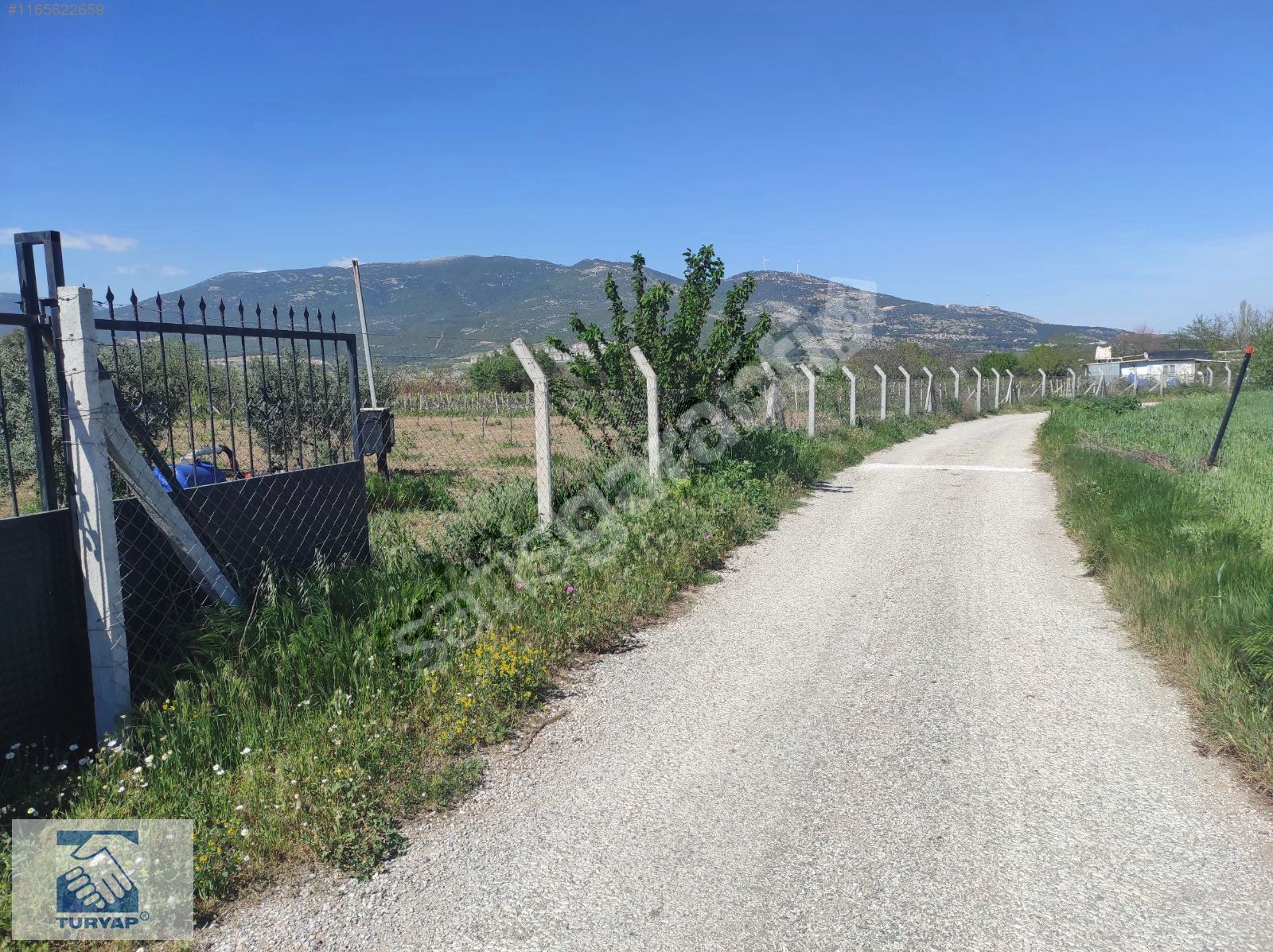 Kemalpaşa Yukarıkızılca'da Satılık 8200 m2 Arazi