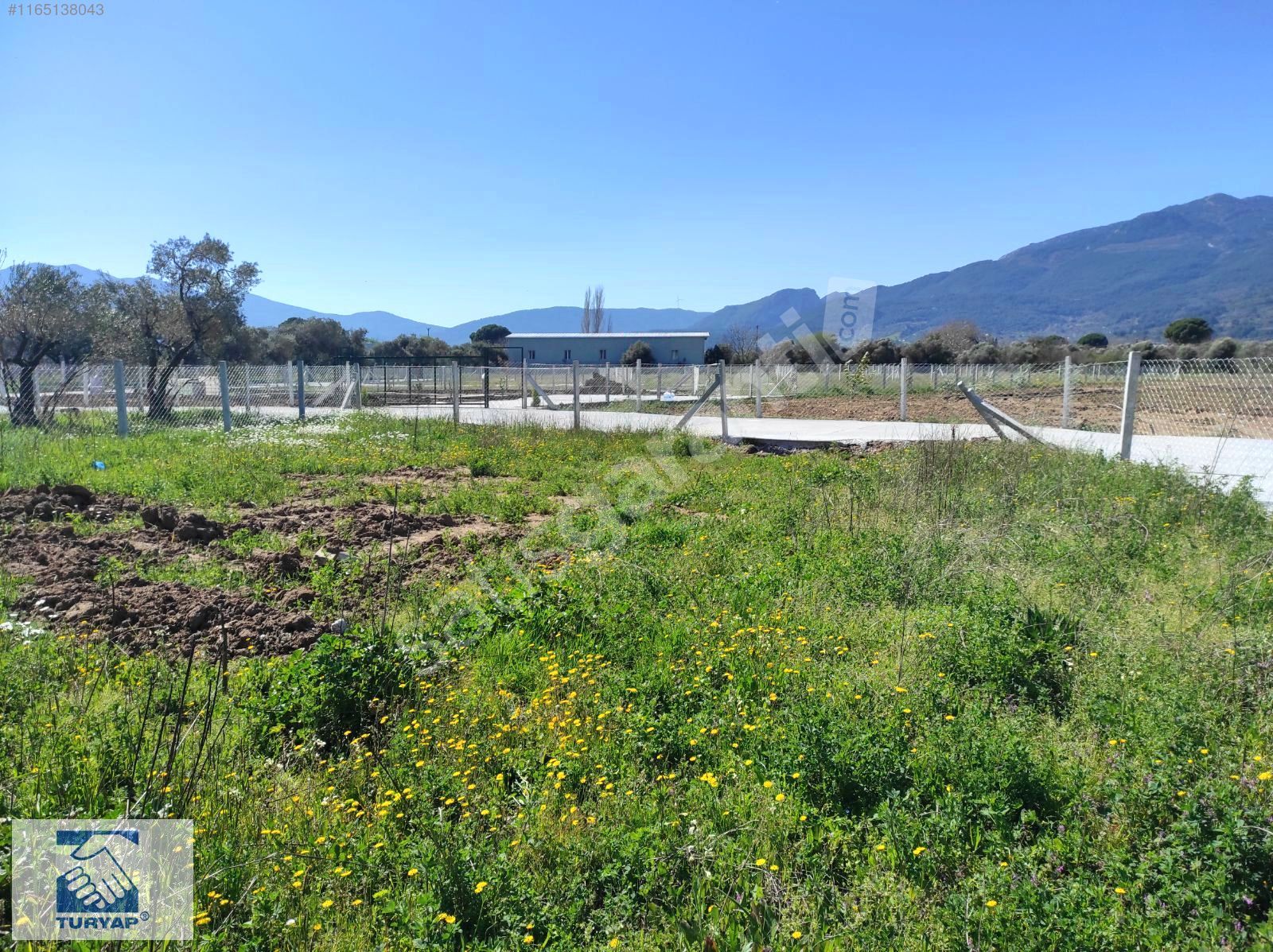 Kemalpaşa M.Akif Ersoy Mah. Satılık 436 m2 Bahçe
