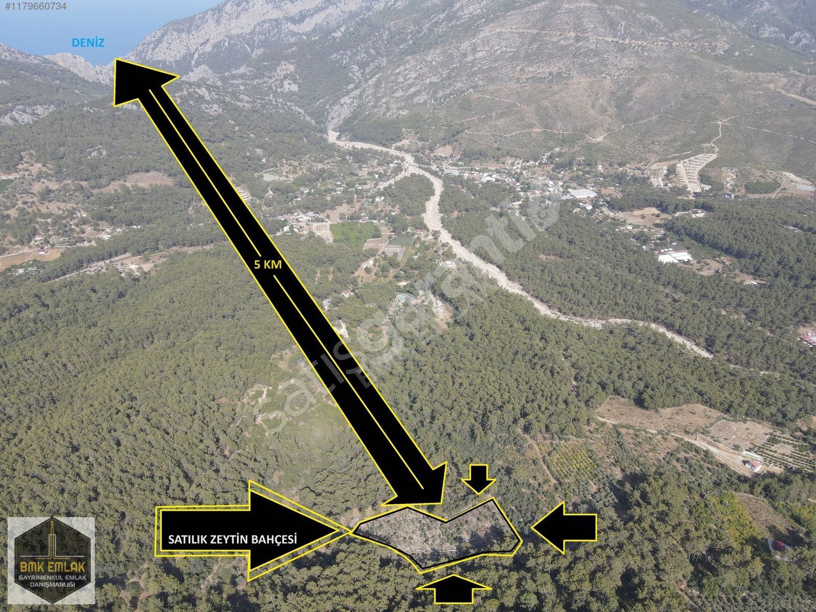 BMK EMLAKTAN ANTALYA KUMLUCA YAZIR DA SATILIK ZEYTİN BAHÇESİ