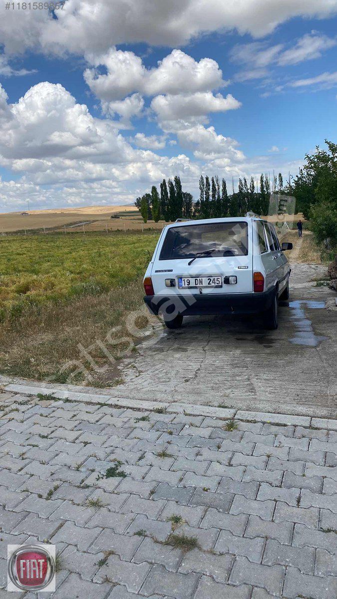 Masrafsız dağ keçisi