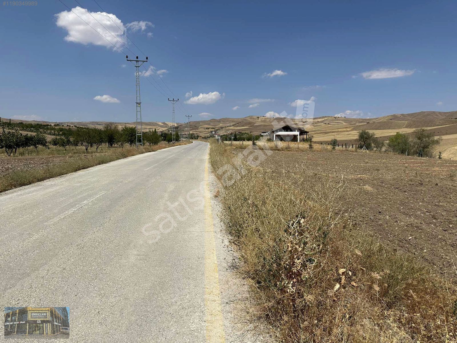 ASFALT YOLA CEPHE TEK TAPU SÜPER KONUMDA TEK TAPU ARSA