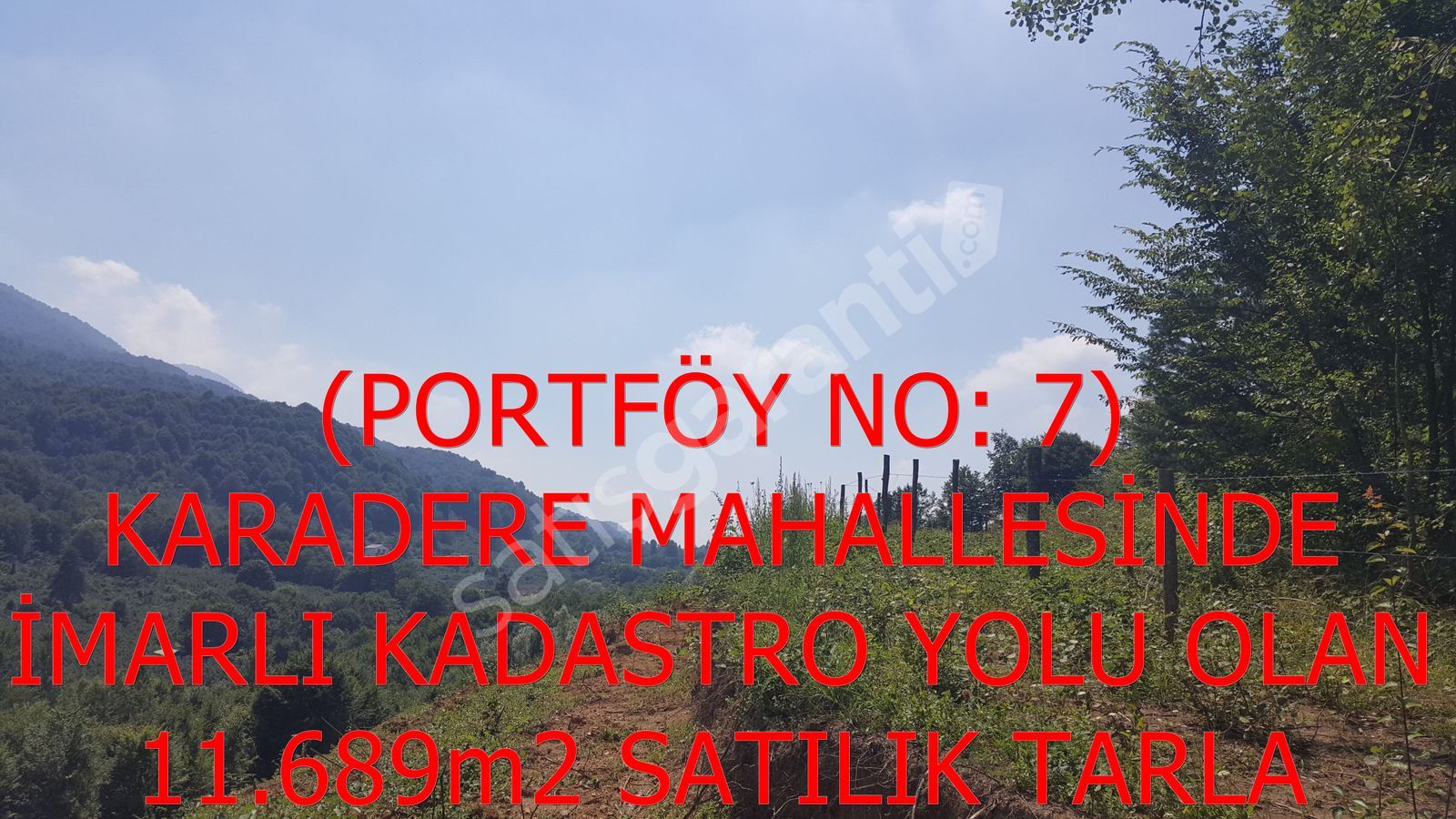 7- KARADERE MAH. 11.689m2 İMARLI SATILIK FINDIK BAHÇESİ
