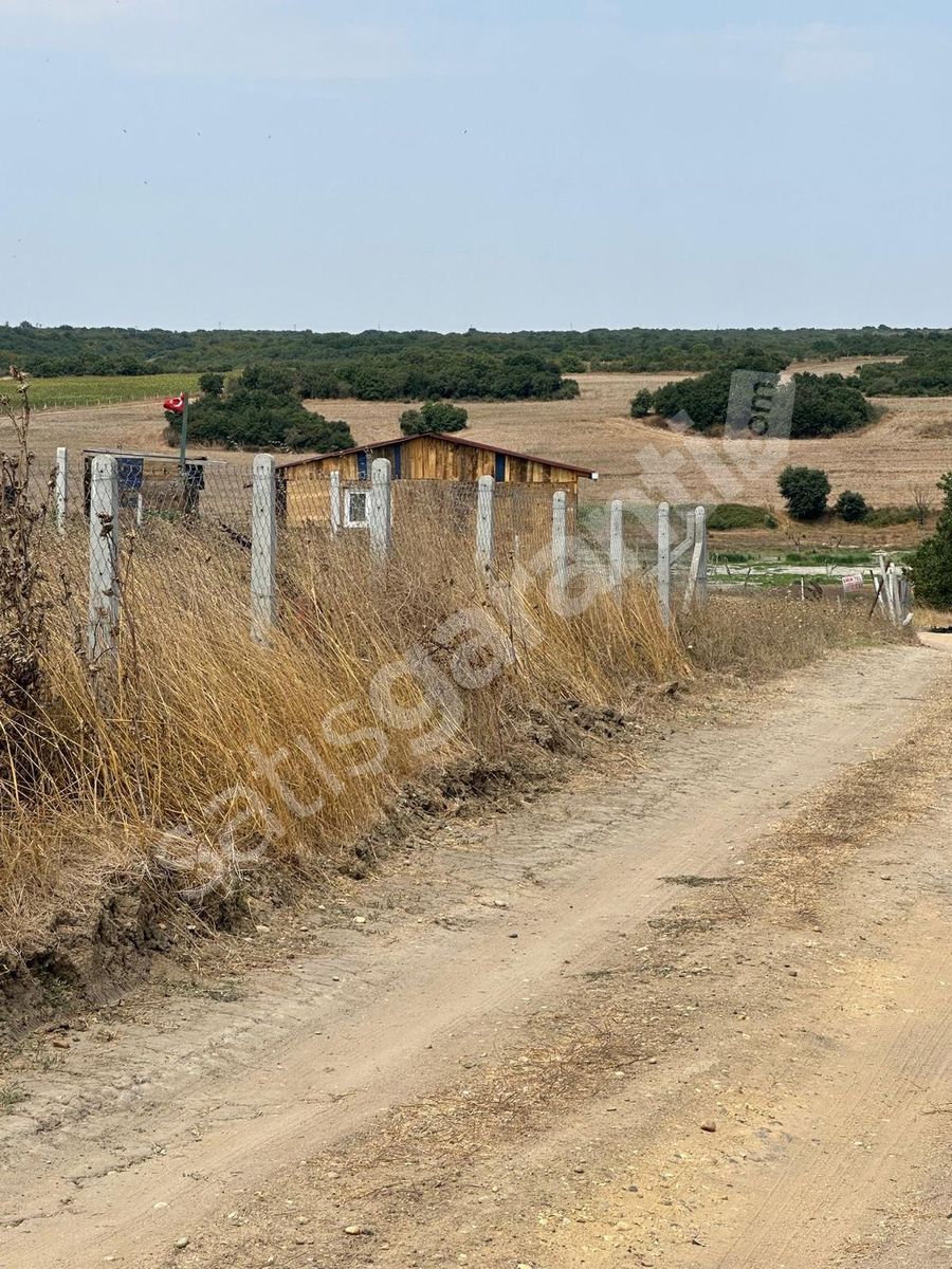 Arsa tarla 