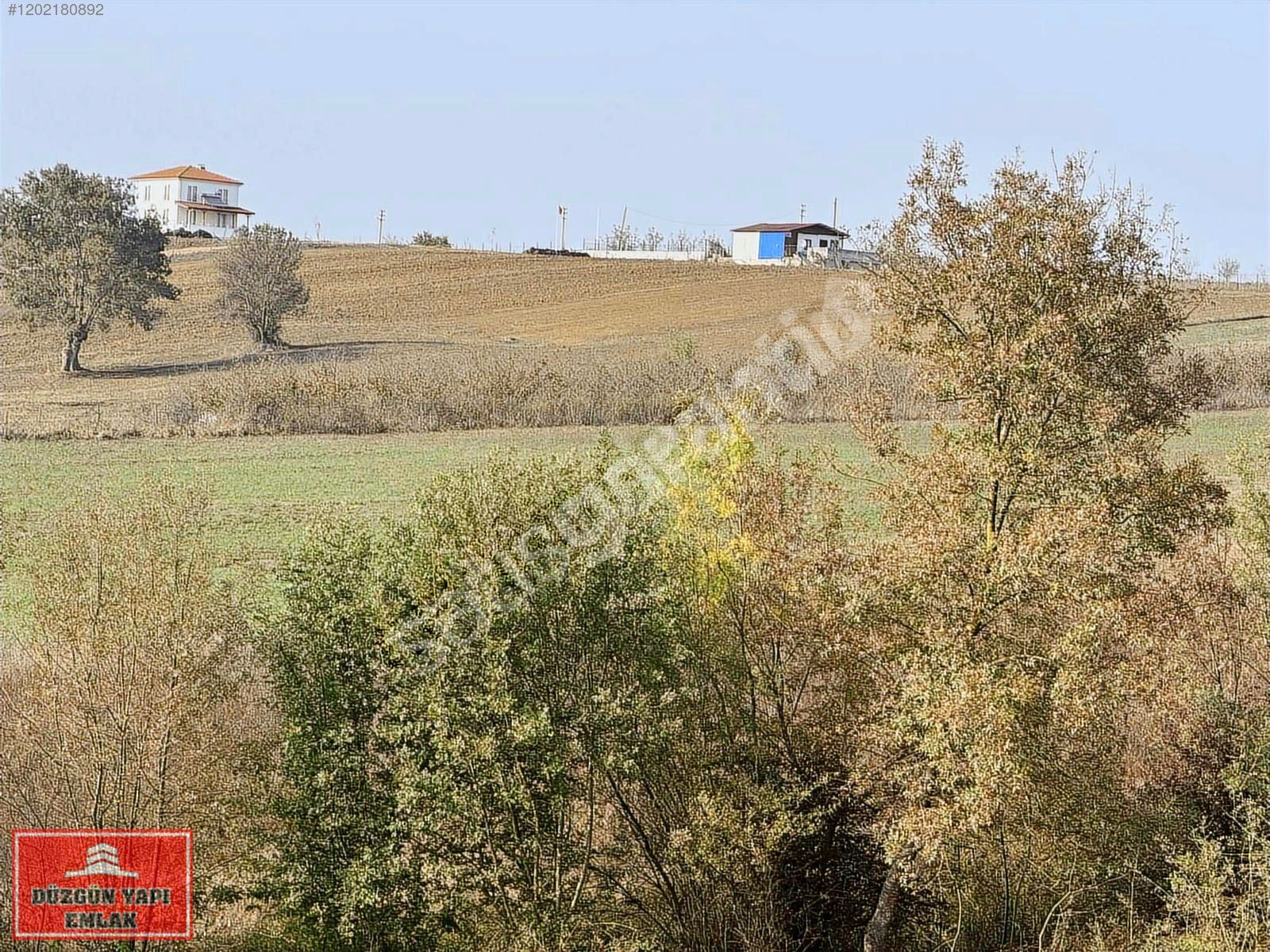 Kandıra Karadivan da 1100 m2 köy kenarı