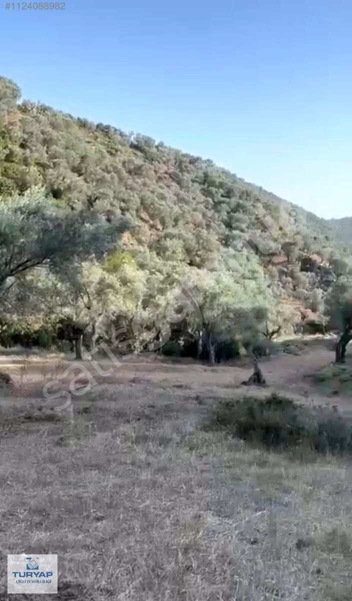 Karşıyaka Yamanlar Mahallesi'nde Satılık Tarla