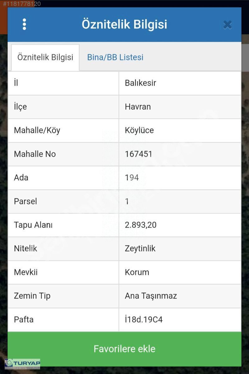 BALIKESİR HAVRAN KÖYLÜCE'DE 2893 M2 SATILIK ZEYTİNLİK