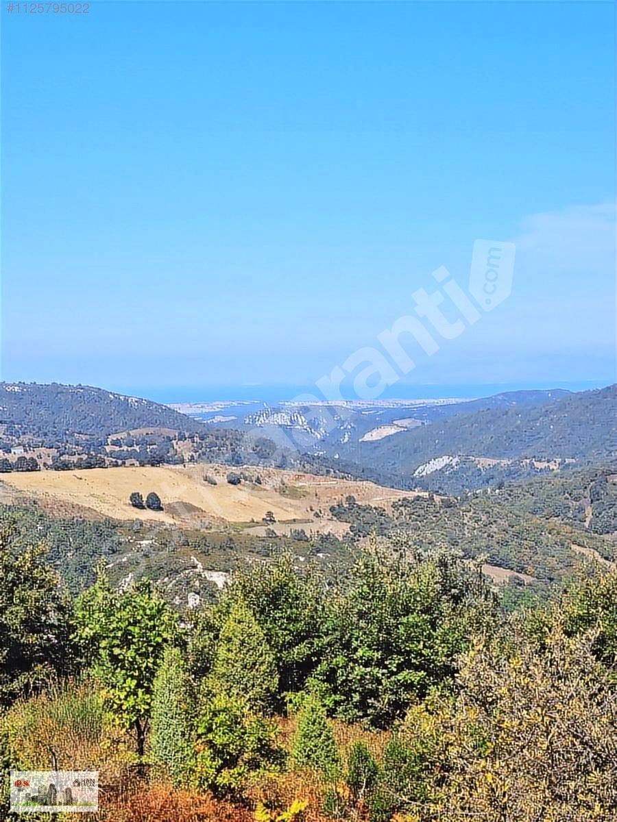 BİGA ARABAALAN'DA SATILIK 20500m2 KELEPİR TARLA HAN EMLAK'TAN