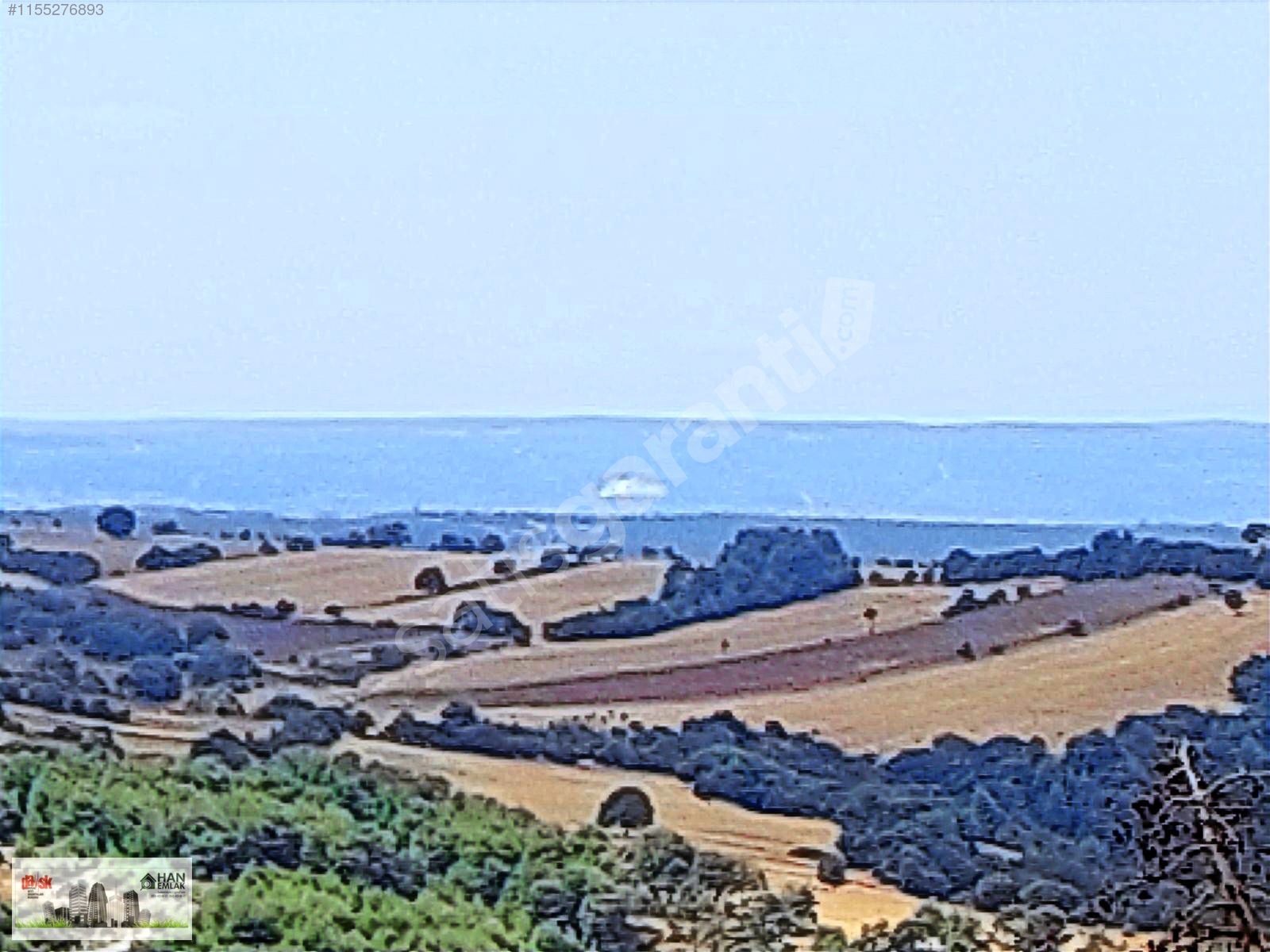 HAN EMLAKTAN ÇANAKKALE MERKEZ YUKARI OKÇULAR'DA 10000 m2 TARLA