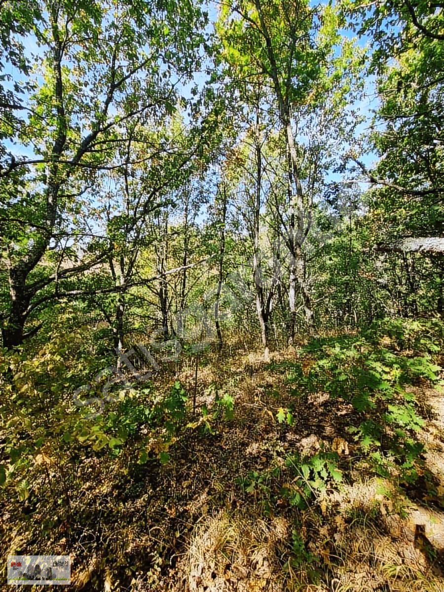 BİGA BEZİRGANLAR KÖYÜNDE 18450 m2 KELEPİR TARLA HAN EMLAK'TAN