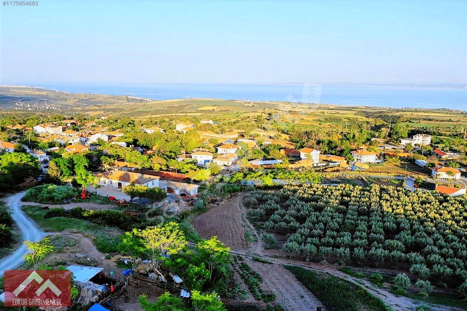 ŞARKÖY KOCAALİ MAH %75 KÖY İÇİ İMARLI DENİZ MANZARALI 2.362m²