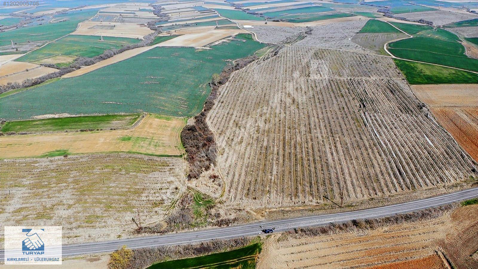 TURYAPTAN HAYRABOLU ÇERKEZMÜSELLİM'DE SATILIK 140 OOO m2 TARLA