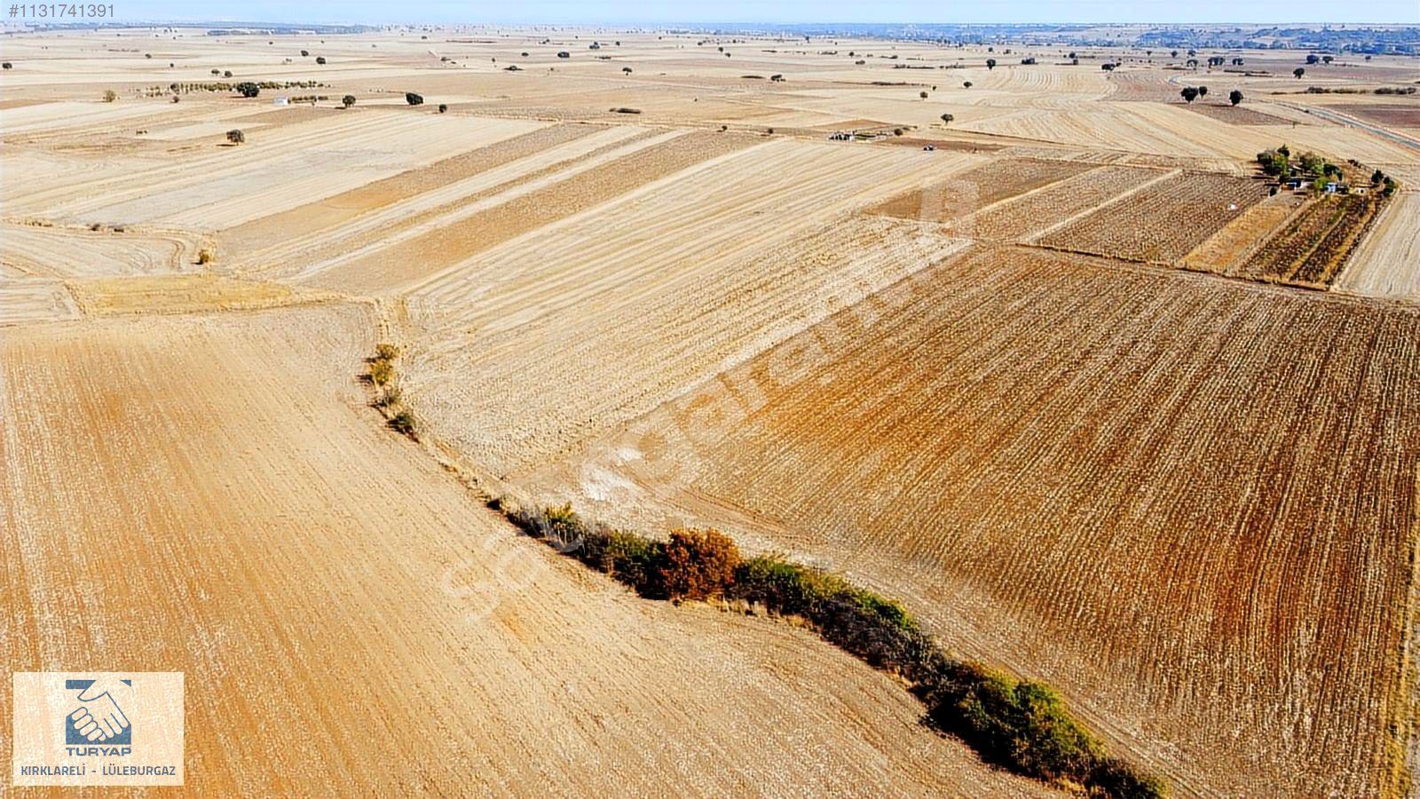 TURYAP'TAN ESKİTAŞLI BAĞ EVLERİ YANINDA İMAR DİBİ 3908 m2 TARLA
