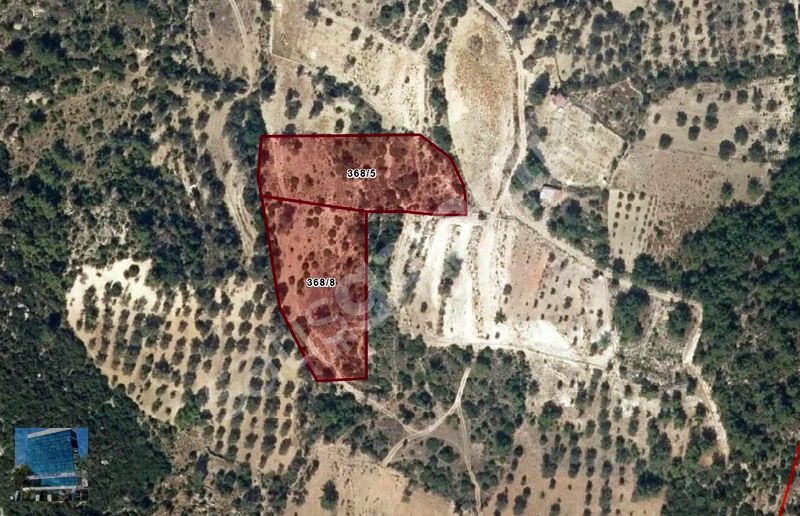 Mordoğanda Daha Uygunu Yok Satılık 9431 m2 Arazi