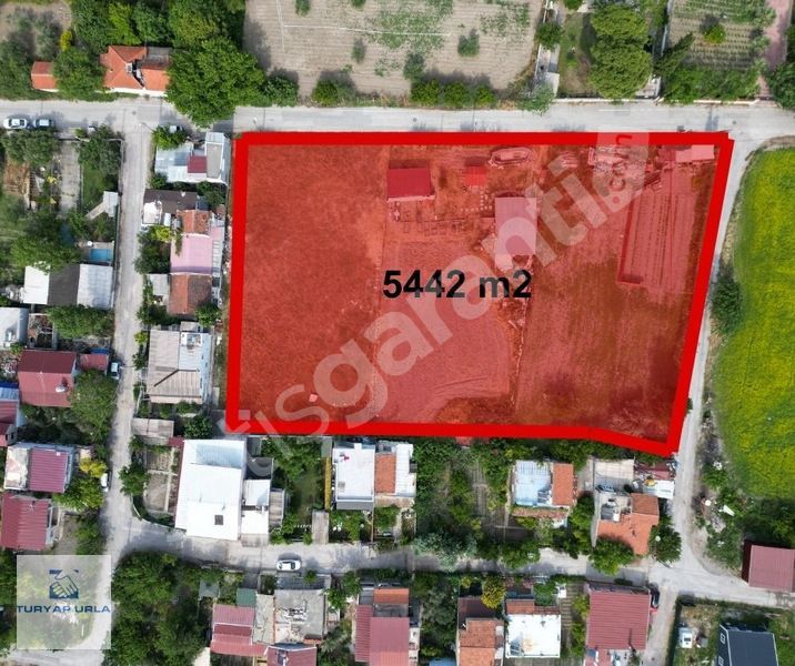 TURYAP'tan Urla Atatürk Mah.'de İmara Yakın 5442 m2 Tarla