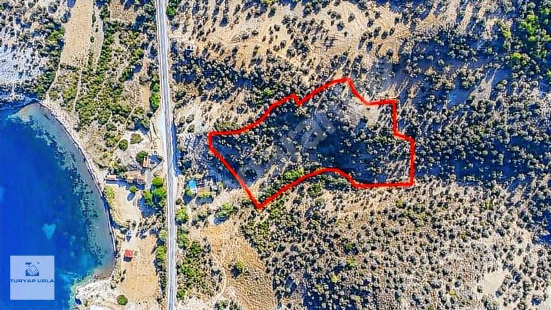 TURYAP'tan Yeni Foça'da Denize 150 Metre Mesafede Emsalsiz Tarla
