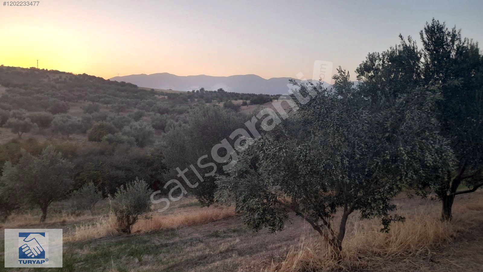 "Bölge Fiyatlarının Çok Altında" İzmir Kemalpaşa Satılık Arazi