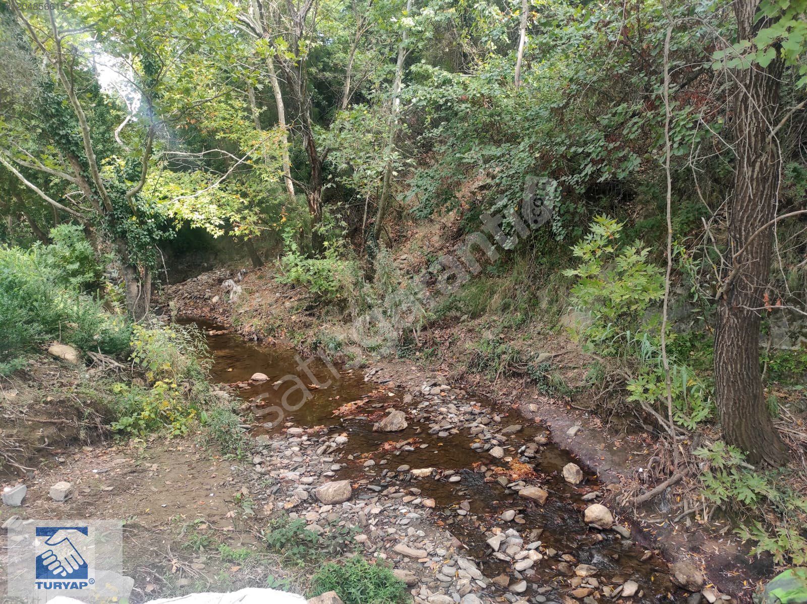 Kemalpaşa Cumalı Satılık 315m2 Bahçe