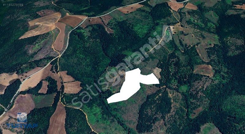 ÇANAKKALE BİGA DİKMEN KÖYÜ 26.500 M2 EKOTURİZME UYGUNTARLA