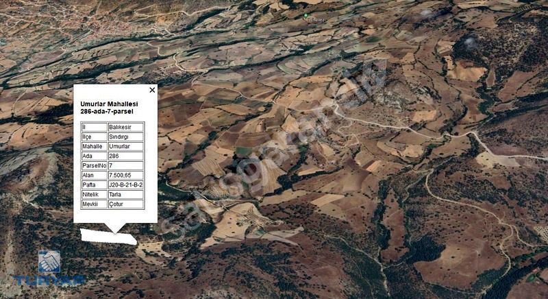 BALIKESİR SINDIRGI UMURLAR 7.500 M2 YATIRIMLIK KUPON TARLA