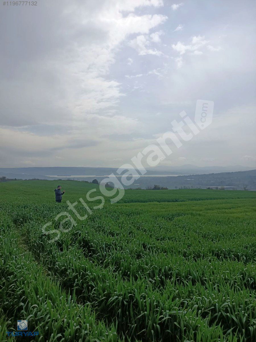 ÇANAKKALE GELİBOLU BAYIRKÖY'DE 10.000 M2 DENİZ MANZARALI TARLA